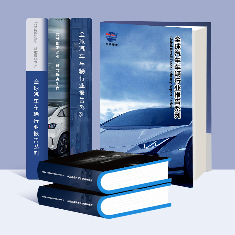 2025-2030年中國汽車零部件行業投資前景及風險分析報告